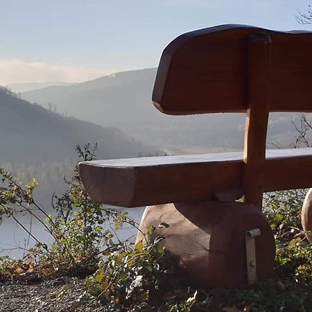 Ferienwohnung Reese- Horstmann Mit Hallenbad Und Sauna, Wlan "Harz Zu Jeder Jahreszeit" Bad Harzburg Dış mekan fotoğraf