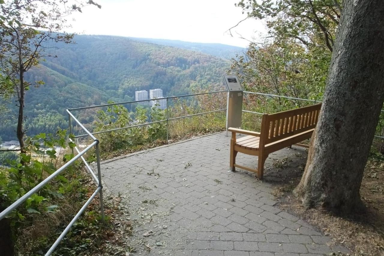 Ferienwohnung Reese- Horstmann Mit Hallenbad Und Sauna, Wlan "Harz Zu Jeder Jahreszeit" Bad Harzburg Dış mekan fotoğraf