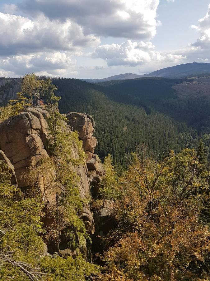 Ferienwohnung Reese- Horstmann Mit Hallenbad Und Sauna, Wlan "Harz Zu Jeder Jahreszeit" Bad Harzburg Dış mekan fotoğraf