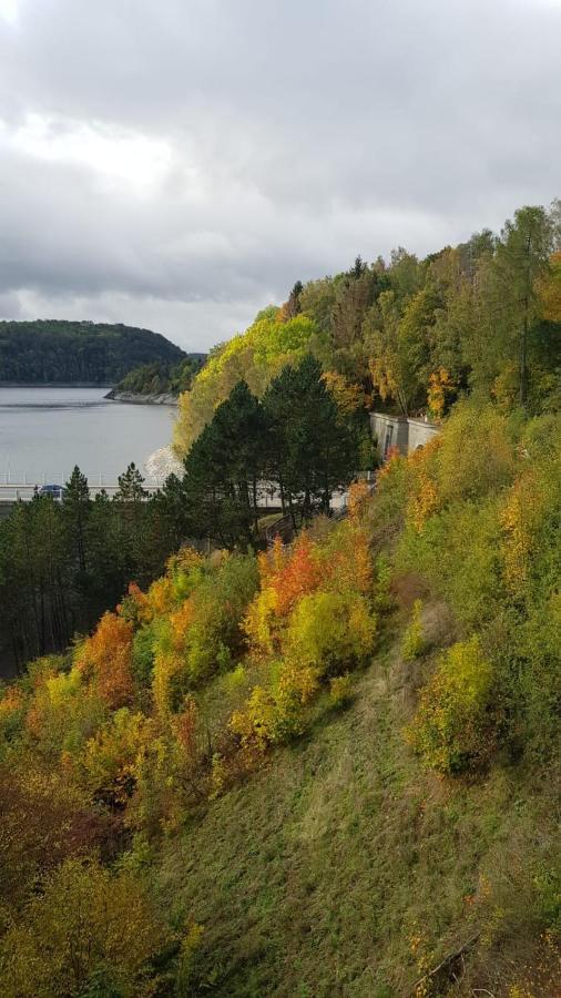 Ferienwohnung Reese- Horstmann Mit Hallenbad Und Sauna, Wlan "Harz Zu Jeder Jahreszeit" Bad Harzburg Dış mekan fotoğraf