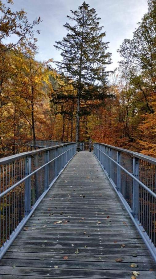 Ferienwohnung Reese- Horstmann Mit Hallenbad Und Sauna, Wlan "Harz Zu Jeder Jahreszeit" Bad Harzburg Dış mekan fotoğraf