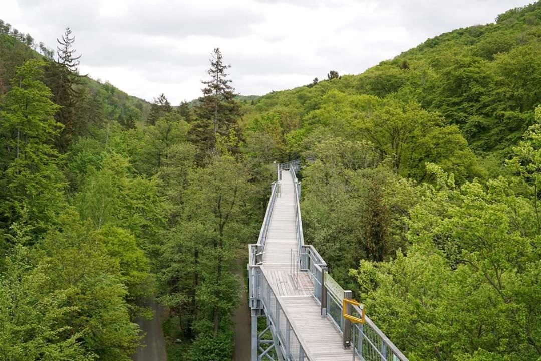 Ferienwohnung Reese- Horstmann Mit Hallenbad Und Sauna, Wlan "Harz Zu Jeder Jahreszeit" Bad Harzburg Dış mekan fotoğraf
