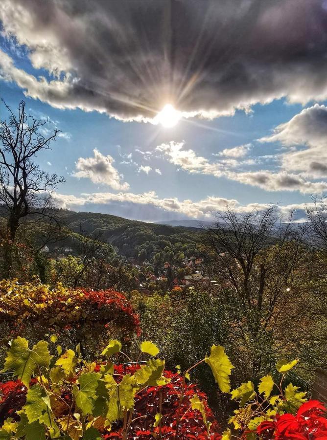 Ferienwohnung Reese- Horstmann Mit Hallenbad Und Sauna, Wlan "Harz Zu Jeder Jahreszeit" Bad Harzburg Dış mekan fotoğraf