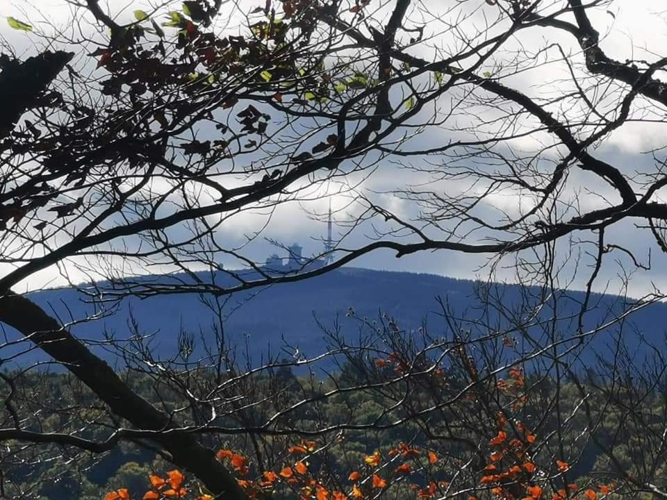 Ferienwohnung Reese- Horstmann Mit Hallenbad Und Sauna, Wlan "Harz Zu Jeder Jahreszeit" Bad Harzburg Dış mekan fotoğraf