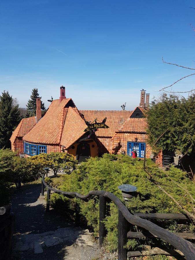 Ferienwohnung Reese- Horstmann Mit Hallenbad Und Sauna, Wlan "Harz Zu Jeder Jahreszeit" Bad Harzburg Dış mekan fotoğraf