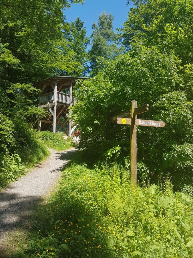 Ferienwohnung Reese- Horstmann Mit Hallenbad Und Sauna, Wlan "Harz Zu Jeder Jahreszeit" Bad Harzburg Dış mekan fotoğraf