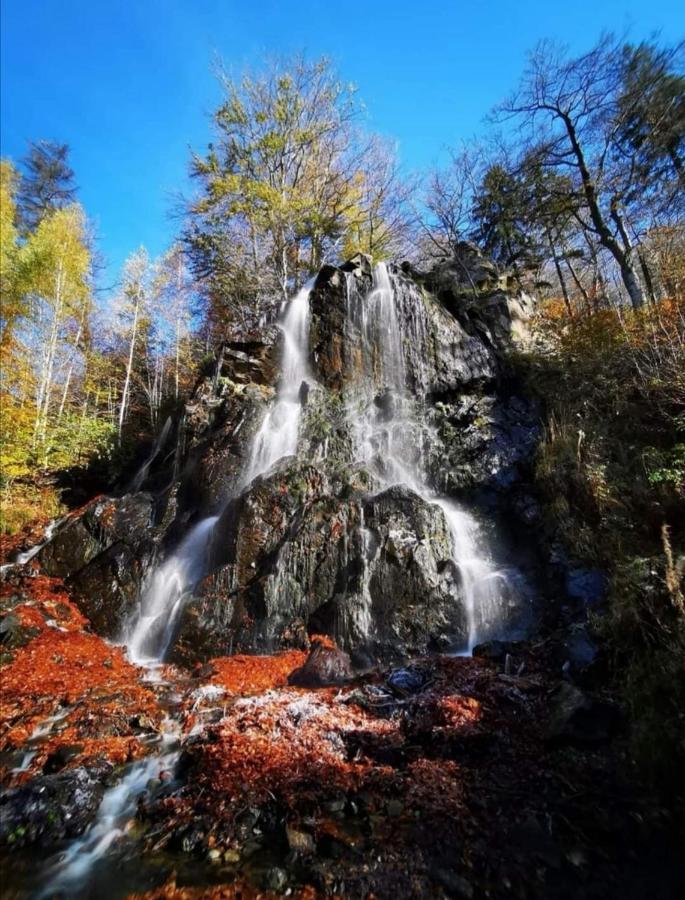 Ferienwohnung Reese- Horstmann Mit Hallenbad Und Sauna, Wlan "Harz Zu Jeder Jahreszeit" Bad Harzburg Dış mekan fotoğraf