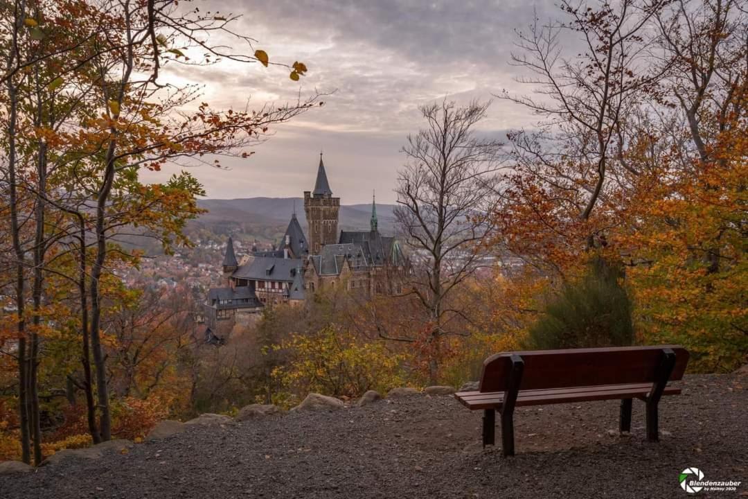 Ferienwohnung Reese- Horstmann Mit Hallenbad Und Sauna, Wlan "Harz Zu Jeder Jahreszeit" Bad Harzburg Dış mekan fotoğraf