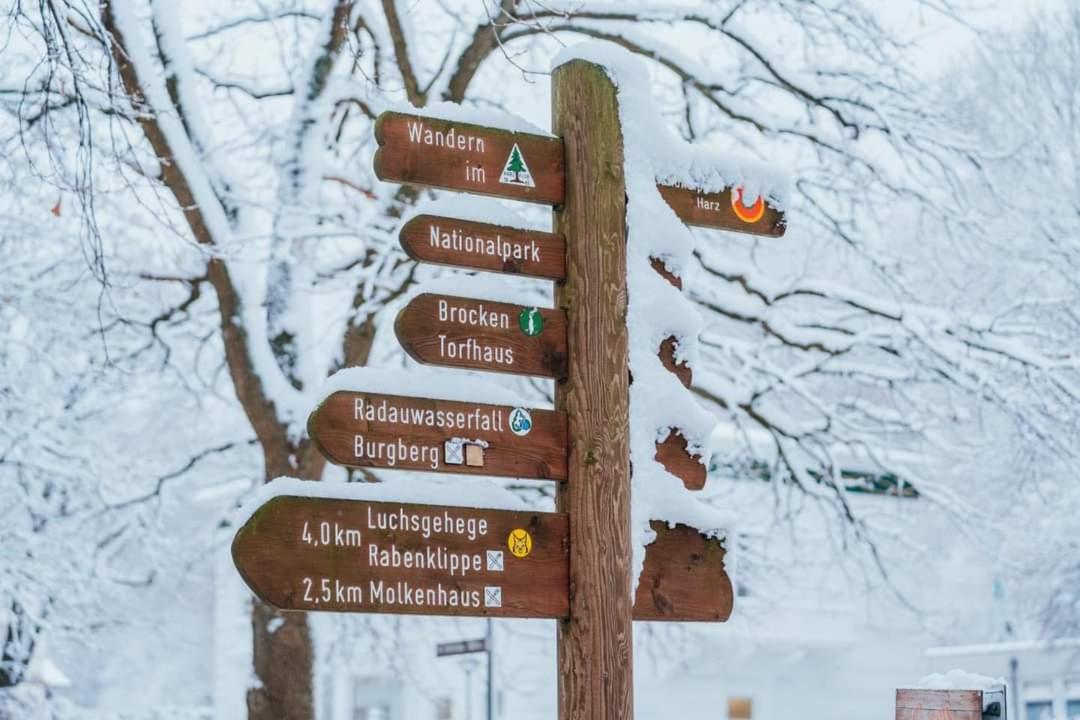 Ferienwohnung Reese- Horstmann Mit Hallenbad Und Sauna, Wlan "Harz Zu Jeder Jahreszeit" Bad Harzburg Dış mekan fotoğraf