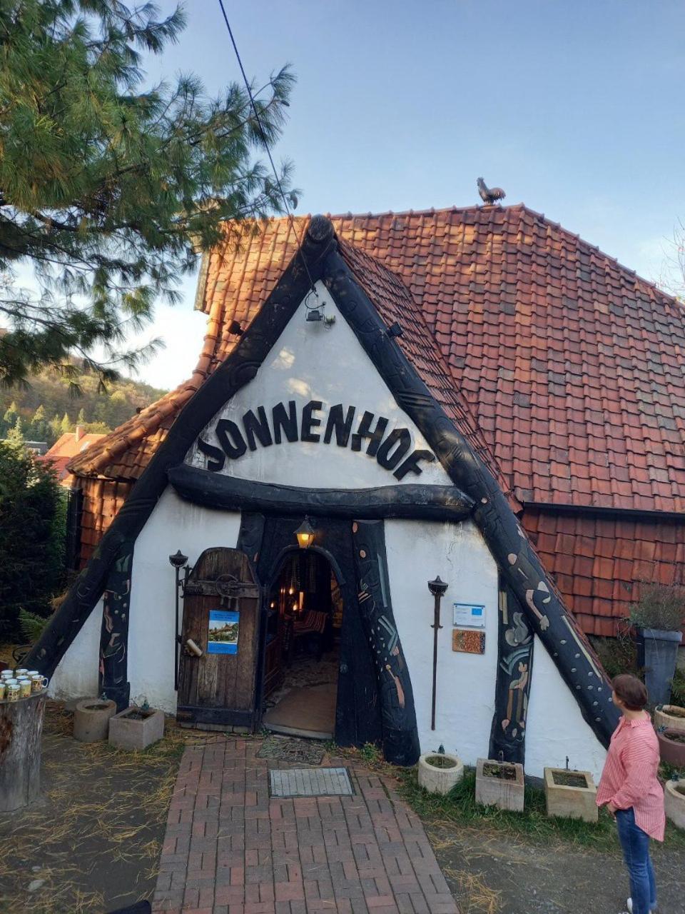Ferienwohnung Reese- Horstmann Mit Hallenbad Und Sauna, Wlan "Harz Zu Jeder Jahreszeit" Bad Harzburg Oda fotoğraf