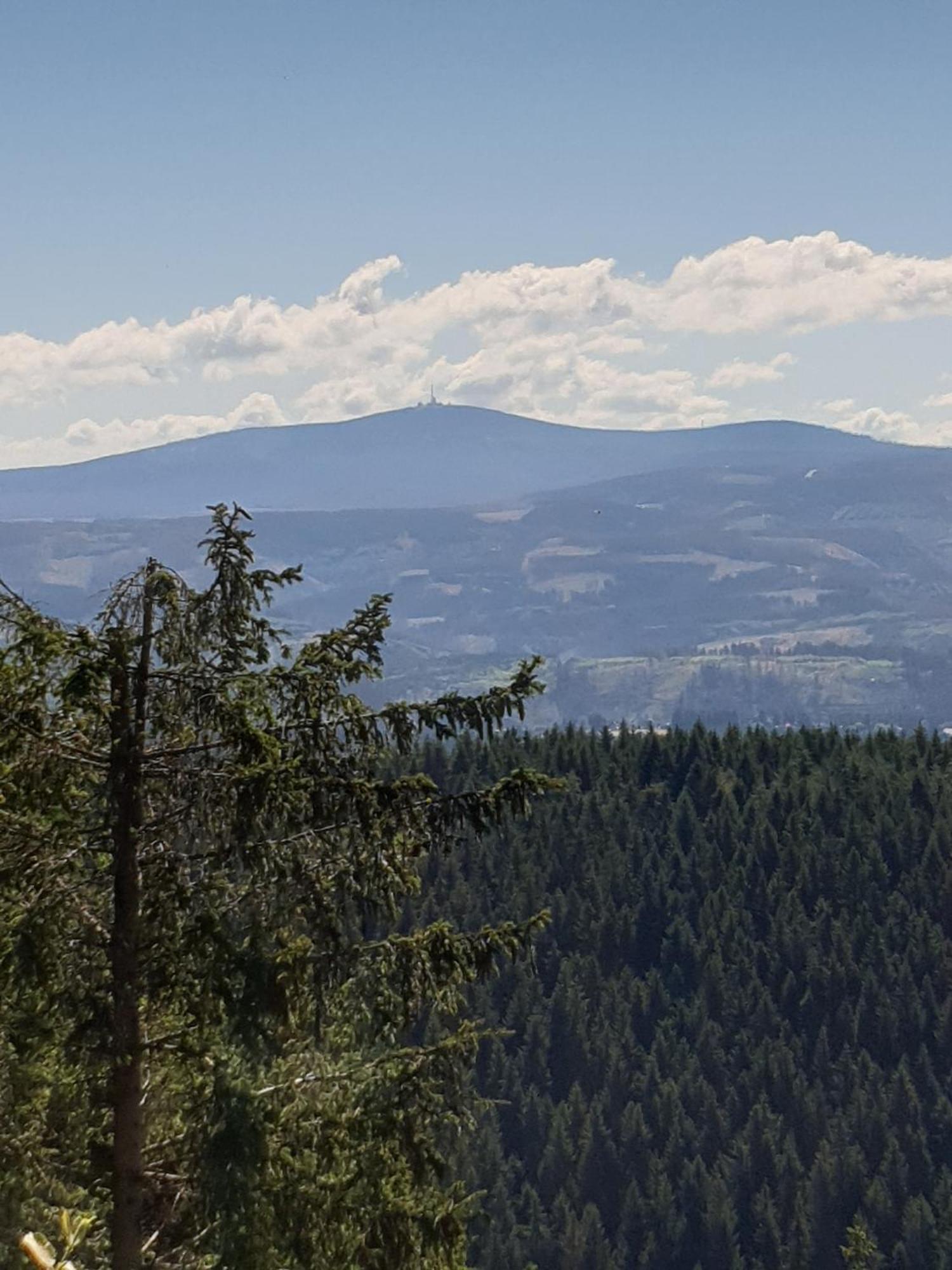 Ferienwohnung Reese- Horstmann Mit Hallenbad Und Sauna, Wlan "Harz Zu Jeder Jahreszeit" Bad Harzburg Oda fotoğraf