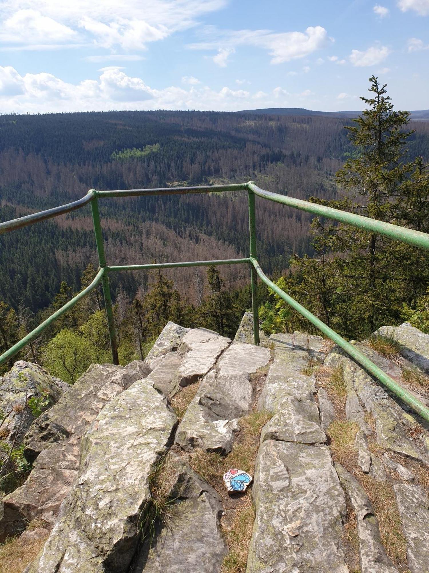 Ferienwohnung Reese- Horstmann Mit Hallenbad Und Sauna, Wlan "Harz Zu Jeder Jahreszeit" Bad Harzburg Oda fotoğraf