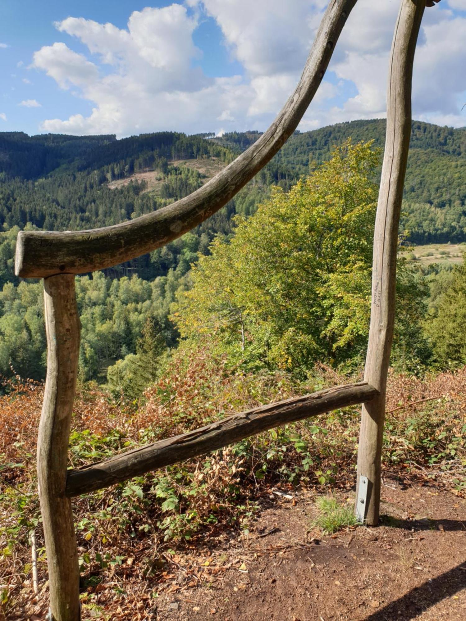 Ferienwohnung Reese- Horstmann Mit Hallenbad Und Sauna, Wlan "Harz Zu Jeder Jahreszeit" Bad Harzburg Oda fotoğraf