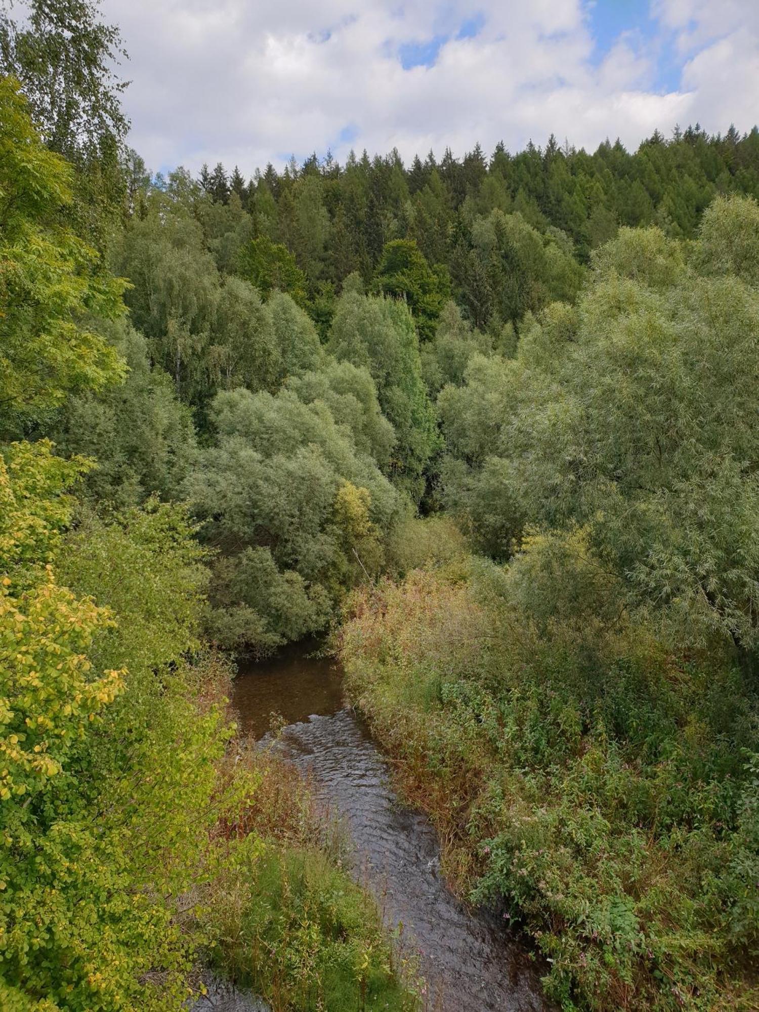 Ferienwohnung Reese- Horstmann Mit Hallenbad Und Sauna, Wlan "Harz Zu Jeder Jahreszeit" Bad Harzburg Oda fotoğraf